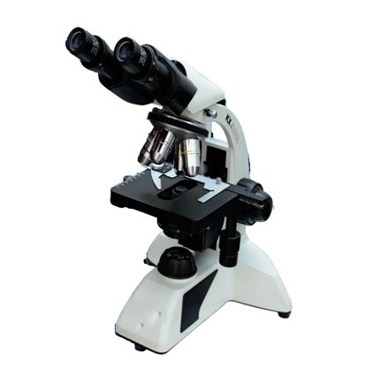 Research Binocular Microscope